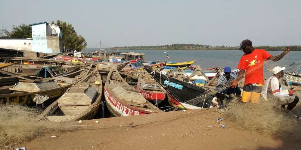 Pêche Artisanale de Guinée : Le Coordinateur National Des Débarcadères De Guinée Rappelle Alpha Condé Sur Une De Ses Promesses