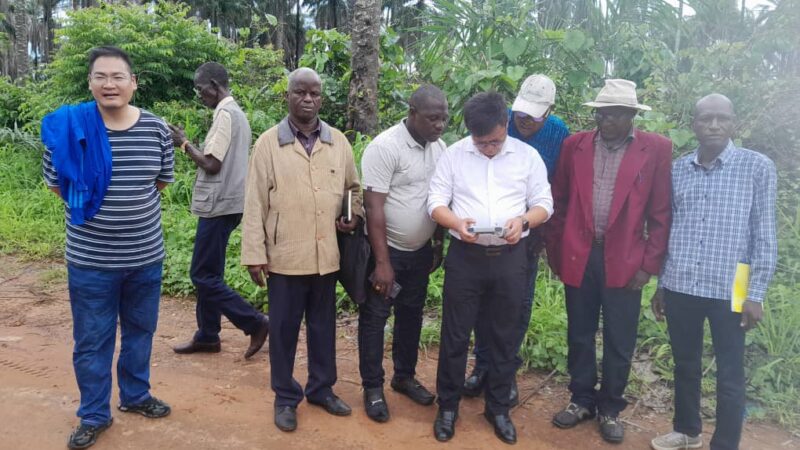 SOCIÉTÉ/ La construction d&rsquo;une usine de transformation de manioc en amidon c&rsquo;est très bientôt à Boffa