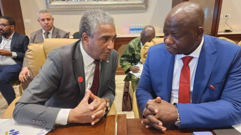 Le Ministre de la jeunesse et des Sports est arrivé à Tripoli hier. Monsieur Keamou Bogola Haba a été accueilli par une importante délégation libyenne dans son hôtel.