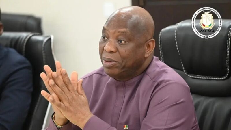 🇬🇳 COOPÉRATION GUINÉE – ALLEMAGNE : Bilan de quatre années d’actions et de réformes majeures