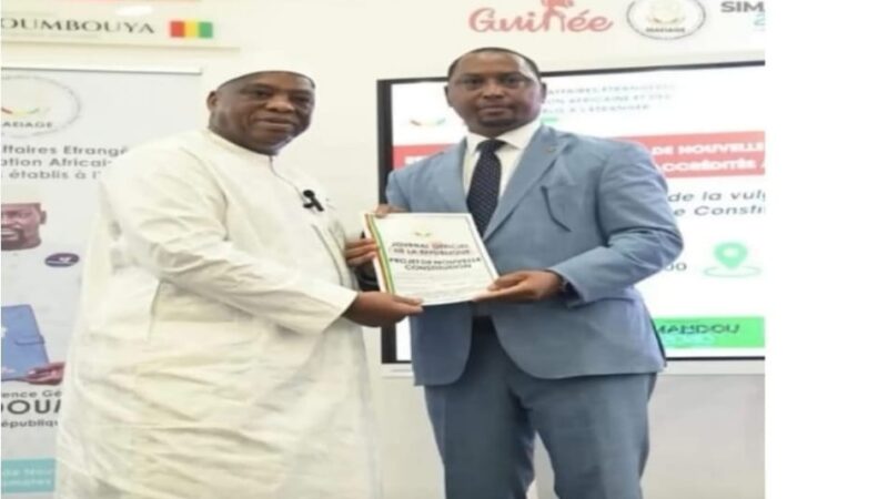 🇬🇳 COOPÉRATION GUINÉE – ALLEMAGNE : Bilan de quatre années d’actions et de réformes majeures